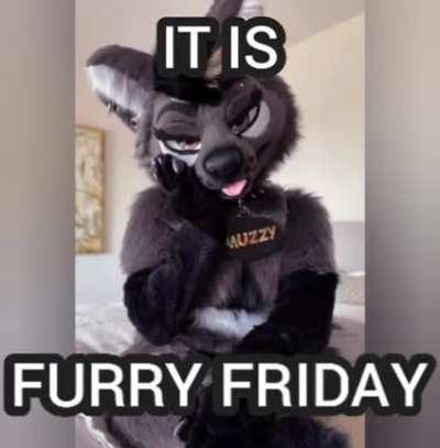 friday_irl