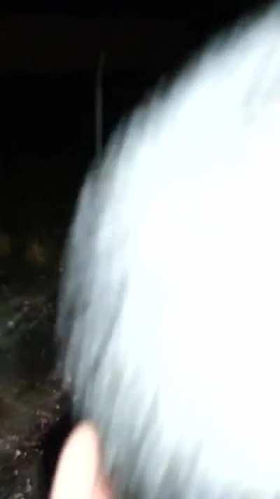 Two Miami dudes throwing down in a brutal bloody fight NSFW