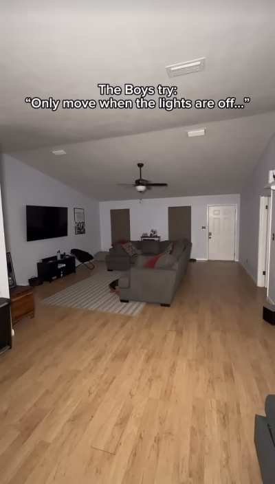 A video of Stanley’s favorite creature