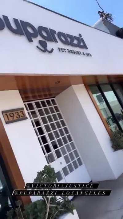 Taking Sammy for a grooming