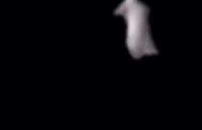 Spooky time has come