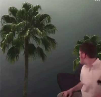 Seen this on a random meme page but vibe check passed ✅