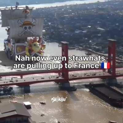 Zoro went on a rampage