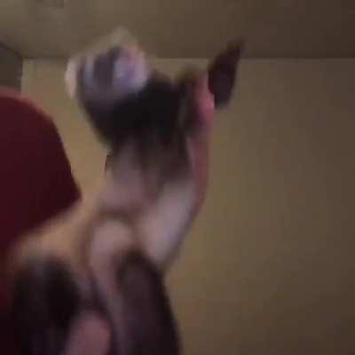 pra animar sua caminhada nesse reddit/sua timeline