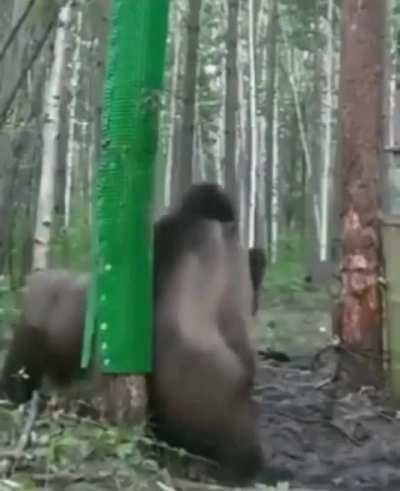 Posting once and then never again: Day 1