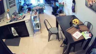 My cats making an entrance