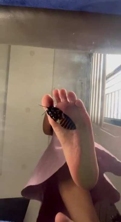 Wanna buy my clip? 😋