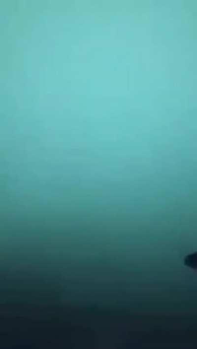 The other day on the toilet