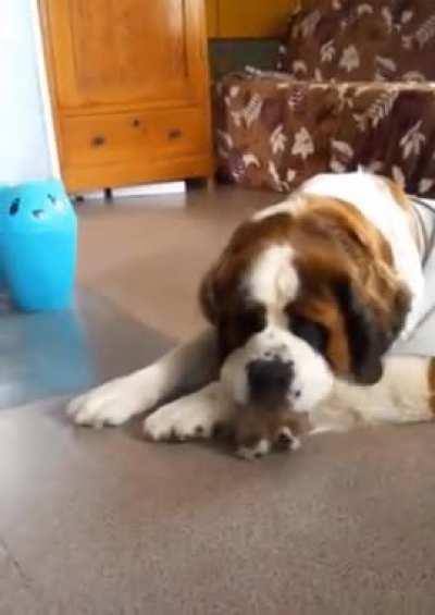 Lessons were learned that day