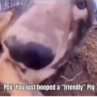 Happened one too many times Amanda