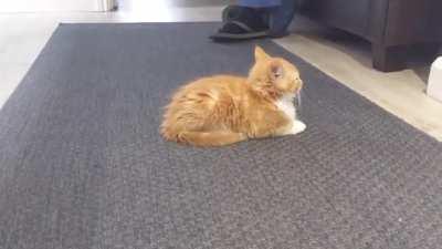 Pre-flight runway checks 🛩️