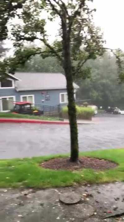 A perfect fall day in the PNW.