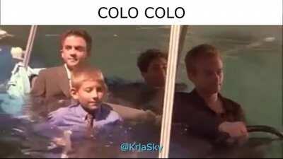 Lamentablemente lo del arbo