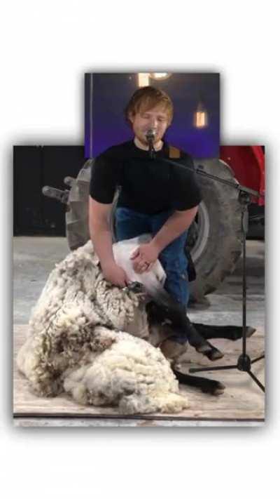 Ed Shearing