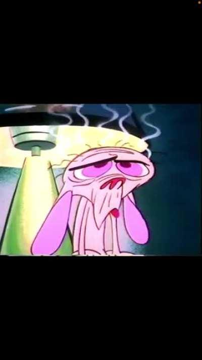 Ren & Stimpy Show - 1993