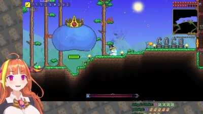 Coco's Terraria Experience