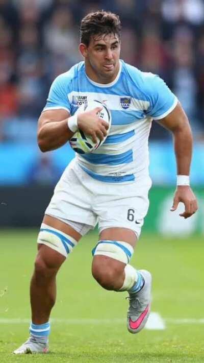 Nos mantienen entretenidos con el tema de los rugbiers mientra se prende fuego el país.