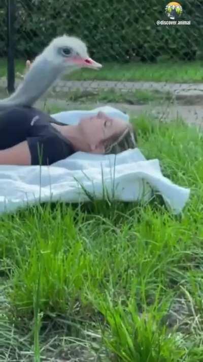 This isn't weird, Right?