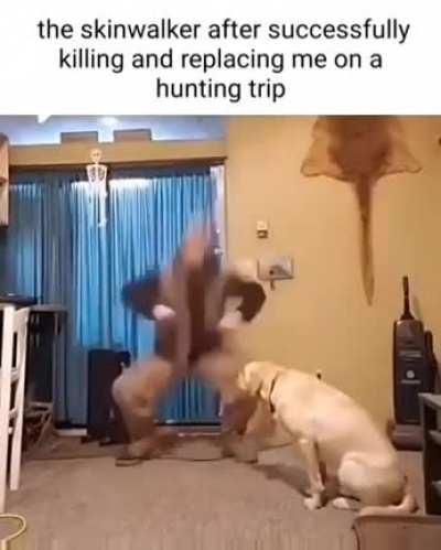 sound like a remix of a song on an accordion