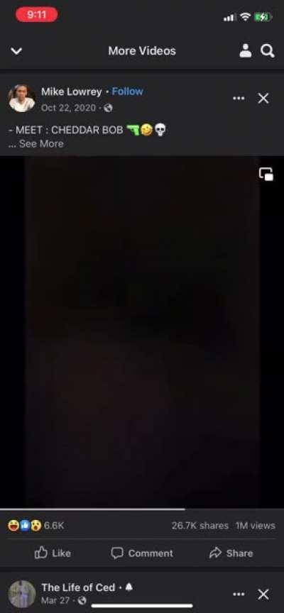 This never gets old 😂😂