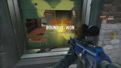 Meet Sudds, my suicidal friend.