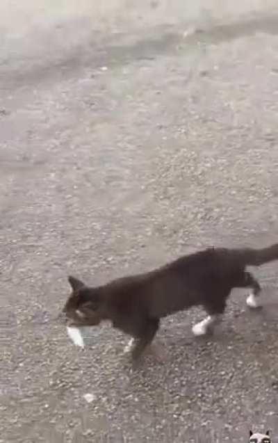 He didn't steal it, he bought it