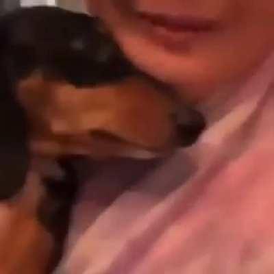 I wish I had a dog 🥺🥺