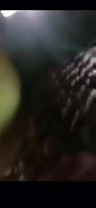 When everything flips...