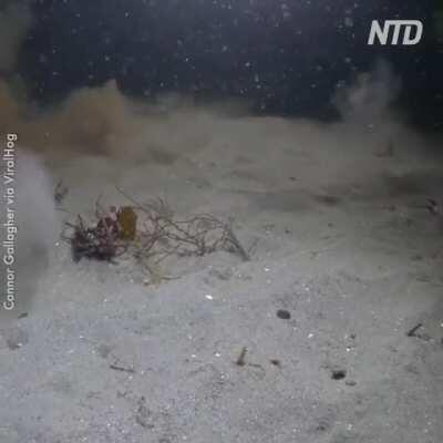 Urgot VS Illaoi lane phase