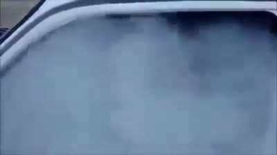 Tem um dinossauro man