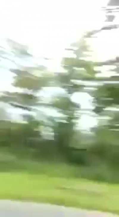 Those who are upset due to dogs should see the presence of mind of this BMW rider