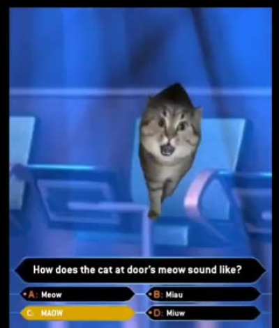 His ass is not a contestant on who wants to be a millionaire 