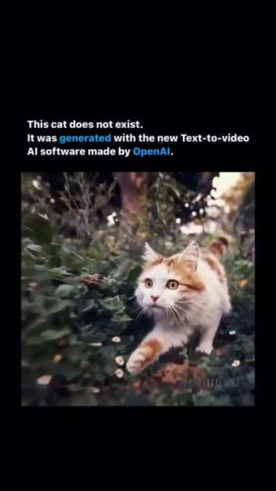 I feel like this belongs here