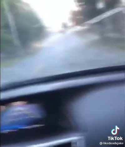 Semi-trailer opens up on a hill and dumps 2-4 inch steel balls all over the place