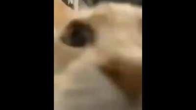 Yooooo funy kat!!!!!!