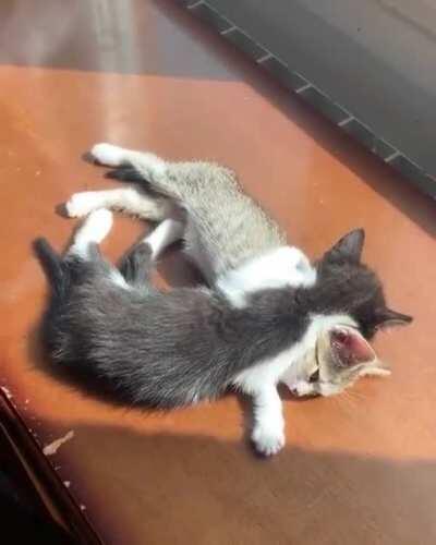 My brother is my pillow