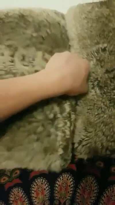 What is hidden in this soft-ware?