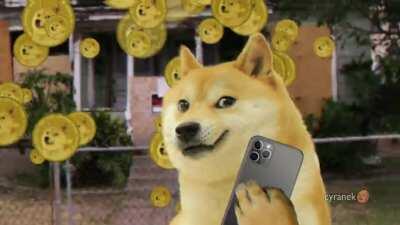 To The Moon 🚀🌑