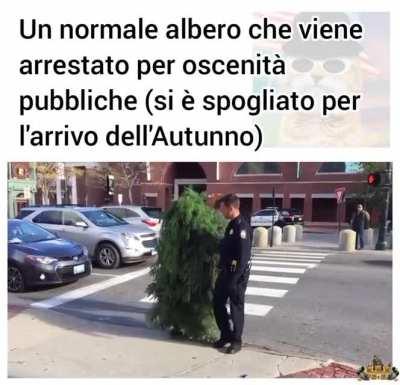 Per la sfida a tema Autunno 👀😳