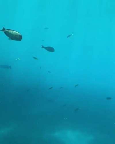 Underwater Hotel in Maldives
