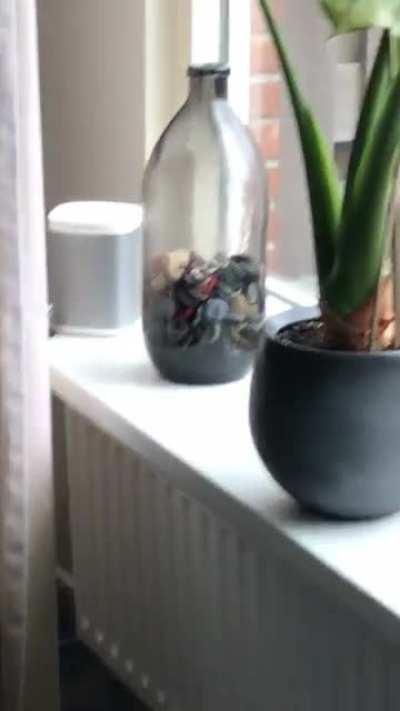 JBL Charge 4 not loud enough lets go to Sonos surround sound