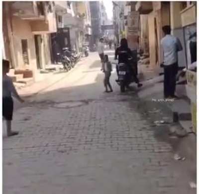 Dog comes to the rescue