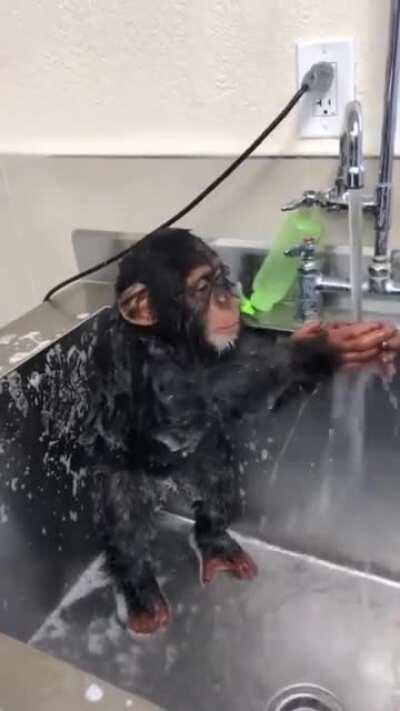 Se le ve bien fresco 😎