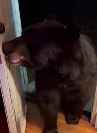 Umm... sorry, wrong door