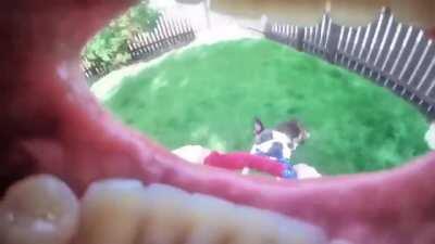 This camera angle...