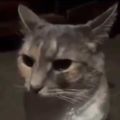 When you see paper discussion going on here and your answers dont match ( i havent matched it yet final answer key ka intezaar )