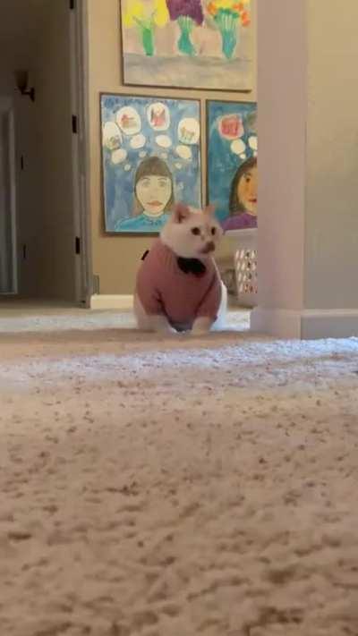 Got me a form-fitting pink suit