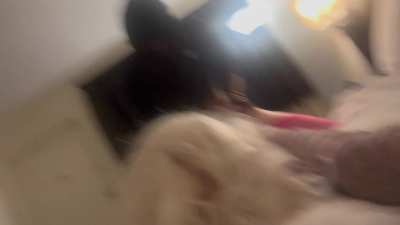 I get a room and get ready, he walks in with a massive hard dick finds me bent over, fills me up leaves and hits me up when he wants it again.