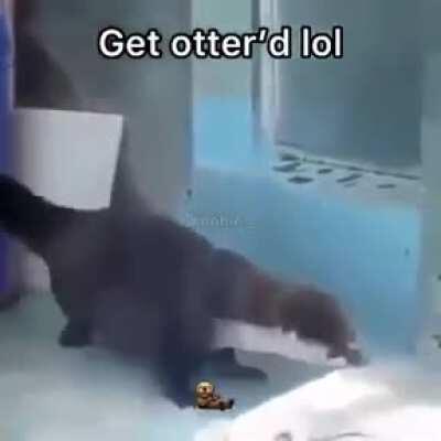 Some good otter boi dancin