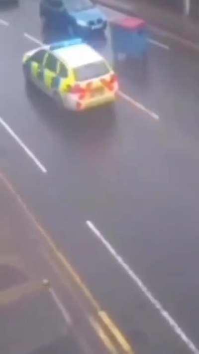 what they feeding them ohio garbage bins 💀